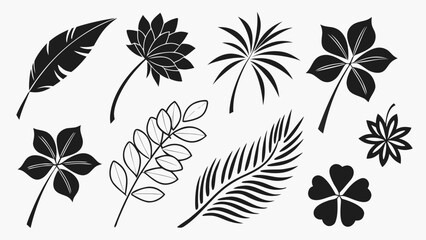 Various Black Botanical Silhouettes white background