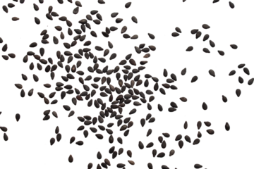 Black sesame seeds isolated on white background