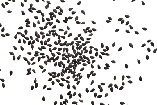 Black sesame seeds isolated on white background