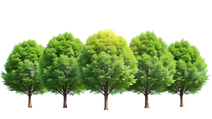 A row of lush green trees with vibrant foliage, isolated on a transparent background, with sunlight filtering through the canopy