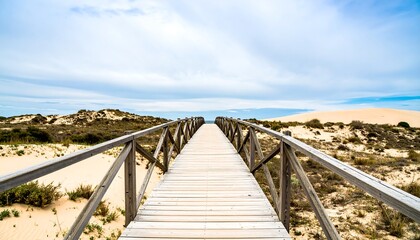 Fototapeta premium A tranquil wooden walkway leads through a coastal dune landscape, stretching towards a serene horizon.