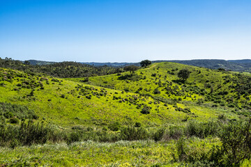 Walking from Troviscais to the River Mira, Vicentine Coast Natural Park Portugal, Rota Vicentina Coast.