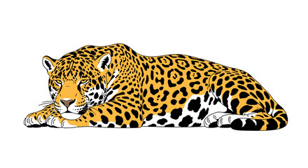Obraz premium Detailed jaguar illustration resting peacefully with its distinctive patterned coat, showcasing a combination of elegance and wild nature beautifully