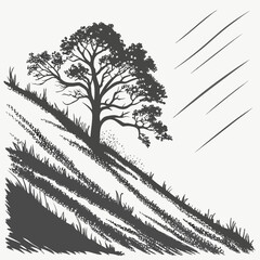 Grassy hill with solitary tree and diagonal lines nature