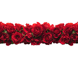 Obraz premium Red roses arranged in a horizontal garland against a black background