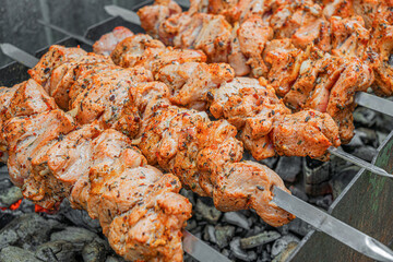 Juicy marinated skewers are being grilled over hot charcoal on metal skewers during an outdoor barbecue.