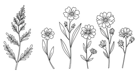 A collection of simple line drawn flowers and plants on white background silhouette