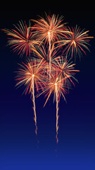 Colorful fireworks celebration and the midnight blue sky background. Size fits the mobile phone screen.