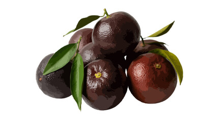 dark grape fruits with leaves isolated on transparent background