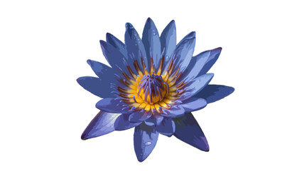 Obraz premium blue lotus flower isolated on transparent background
