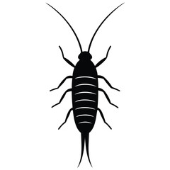 insect vector