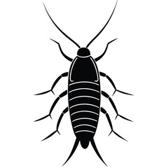 insect vector