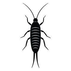 insect vector