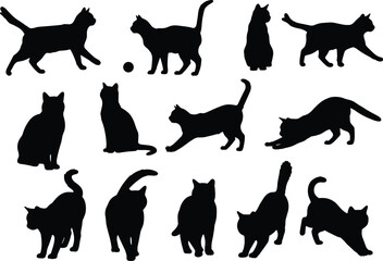 Silhouette cats collection, different poses, various breeds, playful domestic animals, vector illustration, black shadow icon set for cat lovers.