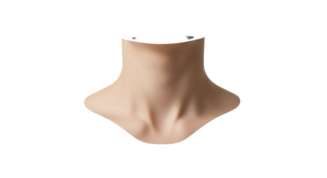 Closeup of a human neck isolated on transparent background, showcasing the skin, anatomy, and contours of the throat, collarbone, and upper torso in a studio shot