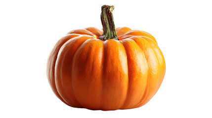 Obraz premium Vibrant orange pumpkin with a textured stem, perfect for autumn harvest and Halloween themes isolated on white background 