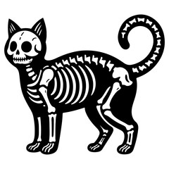 vector illustration of a skeleton  cat