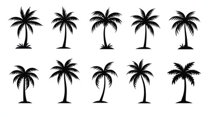 Collection of silhouetted palm trees on a white background