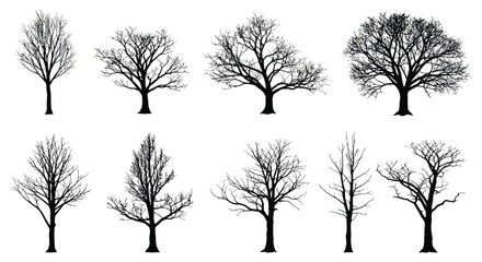 Obraz premium Collection of bare trees in various shapes and sizes on white background silhouette