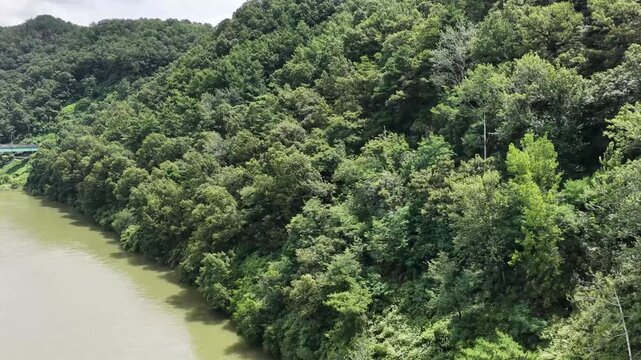 밀양 용두산