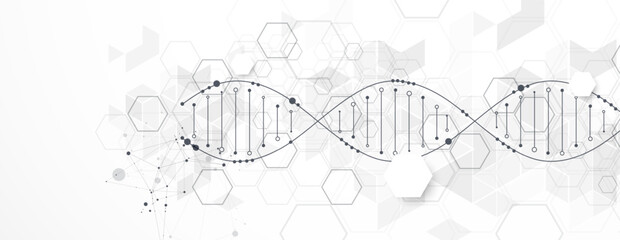 Abstract hexagon futuristic background for design works.
Science template, wallpaper or banner with a DNA molecules.