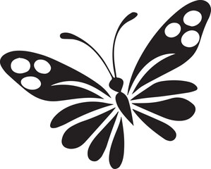 black and white butterfly 