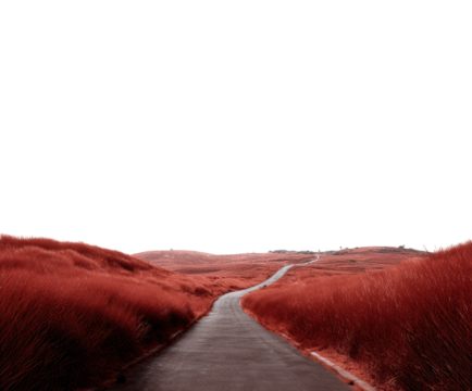 Winding road through vibrant red landscape nature scenic view isolated on transparent background