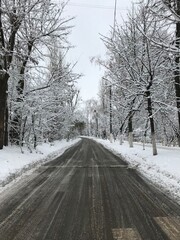Obraz premium Snowy Winter Road Through Frosty Trees in Countryside