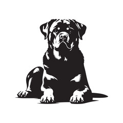 Powerful Rottweiler dog vector silhouette showcasing strength, loyalty, and bold stance in elegant black outline design, perfect for logos, pet art, digital graphics, and creative projects.
