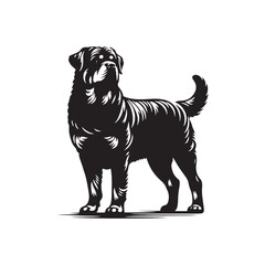 Powerful Rottweiler dog vector silhouette showcasing strength, loyalty, and bold stance in elegant black outline design, perfect for logos, pet art, digital graphics, and creative projects.
