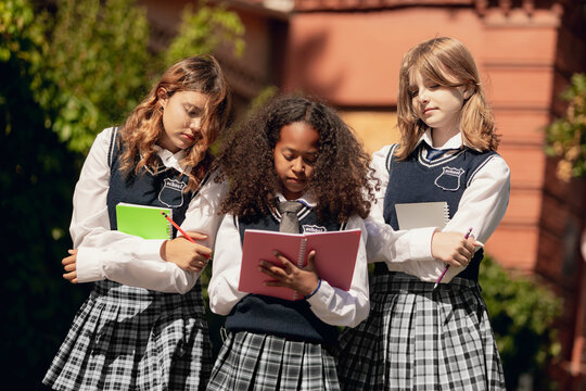Diverse schoolgirls in uniforms discussing notes with teamwork spirit. Concept of female friendship, collaborative learning, school rituals, and campus culture in teen life.