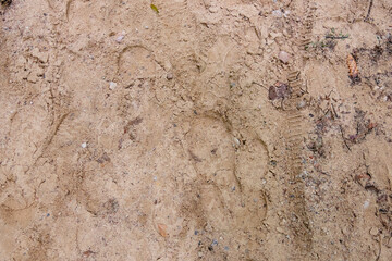 Sand, sand texture, background top view