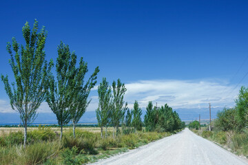 キルギス_ジュク川沿いのトレイル_サルウ郊外