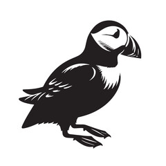 Obraz premium black Puffin Silhouette Vector, High Quality Illustration on White Background