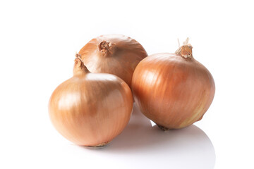 タマネギ、兵庫県産日本