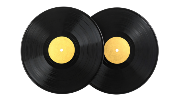 PNG of a classic analog vinyl record disc, isolated on a clean white background.
