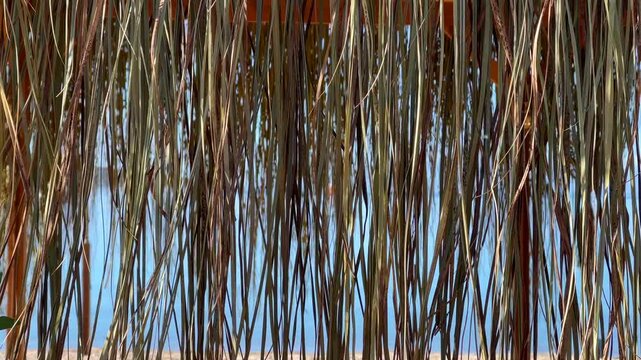 Golden, dry fronds of a thatched roof hang down, with a serene blue sea visible in the background