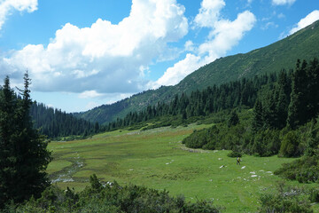 キルギス_Dzhetyoguz_Telety Camp-Kok Jaiyk Valley