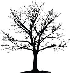 A vector illustration of a bare tree silhouette with dry branches against a winter sky