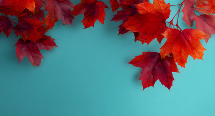 Autumn leaves background red maple leaves on teal background fall season foliage nature october theme design