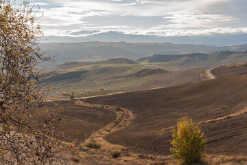 Autumn landscape in the mountains with a road and several paths