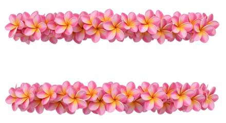 Two beautiful floral garlands composed of vibrant pink frangipani flowers, exuding a sense of tropical elegance and charm. They're set against a simple background.