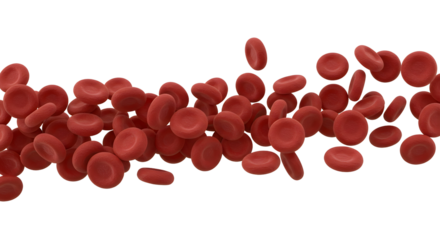 Close-up view of numerous red blood cells, vital components for oxygen transport in the body. These cells are the key element for life in the body.