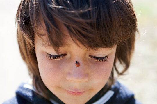 Portrait of little boy with ladybird on his nose