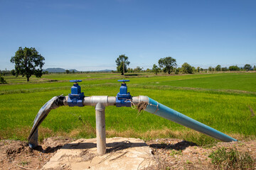 Water pipes for irrigation in rice-growing areas in Thailand.