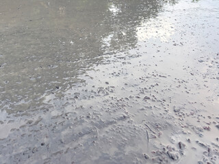 Smooth Wet Concrete Surface After Initial Pouring – Construction Background