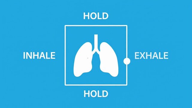 A visual guide for a box breathing exercise showing the four stages: inhale, hold, exhale, and hold, with a lung icon.