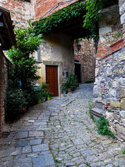 Cobblestone pathway lined with blooming flowers winding through historic Montefioralle village near Greve in Chianti, Tuscany, Italy