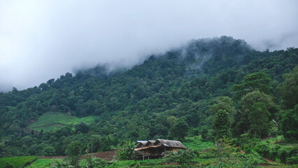Wooden hut in greenery mountains on cloudy day