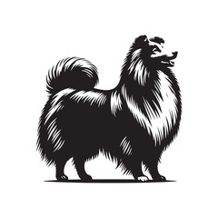 Shetland Sheepdog vector silhouette, elegant herding breed outline, loyal companion design, fluffy fur contour, intelligent posture, canine graphic art, dog lover emblem, minimal modern editable illus